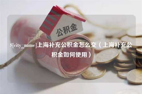 娄底上海补充公积金怎么交（上海补充公积金如何使用）